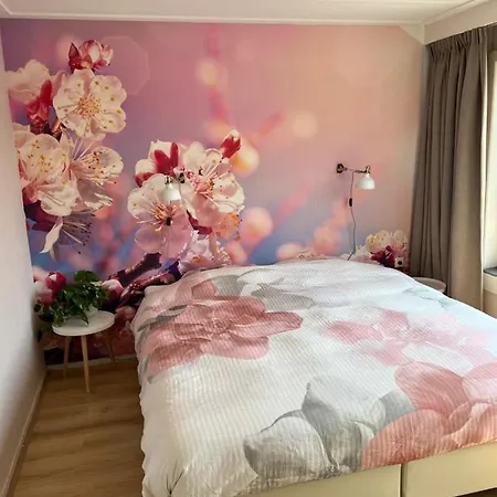 Apartment De Strandgaper Den Helder